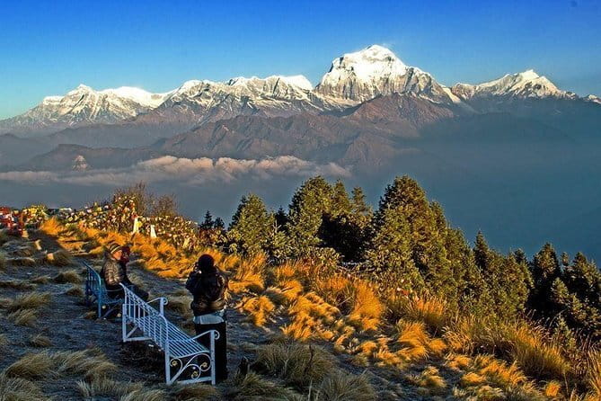 Ghorepani Poonhill Trek - Key points to know before booking