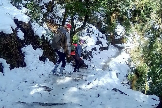 Ghorepani Poonhill Trek (6 Days) - Day 5: Phewa Tal and an easier hour in Pokhara