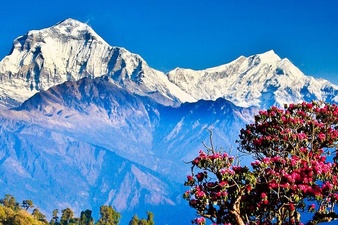 Ghorepani Poonhill Trek -8 Days - Day 3: Nayapul, Birethanti, and the climb toward Ulleri