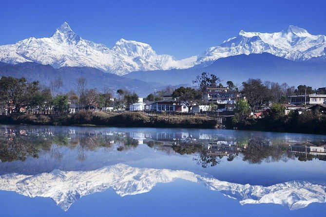 Ghorepani Poonhill Trek -8 Days - Day 4: Ulleri to Ghorepani through rhododendron forest
