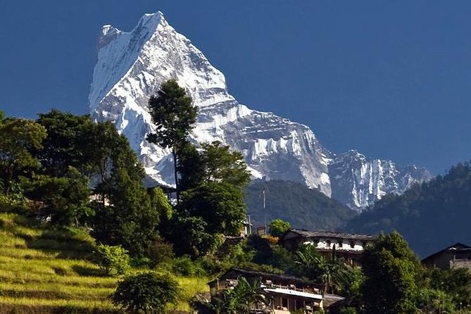 Ghorepani Poonhill Trek -8 Days - Day 6: Down through forest to Ghandruk