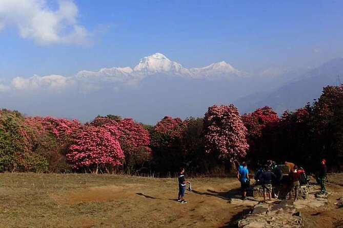 Ghorepani Poonhill Trek from Kathmandu | Best Short Trek in Nepal - The hard climb to Ghorepani