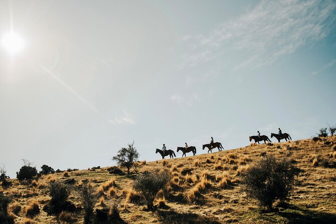 Gold Discovery Trail Horse Trek Cardrona - Most popular! - What makes the Cardrona horse trek special