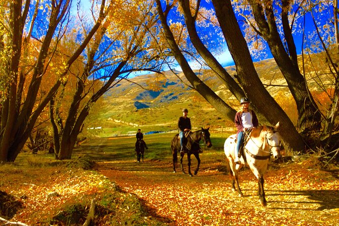 Gold Discovery Trail Horse Trek Cardrona - Most popular! - Gold stories, farms, and mountain views