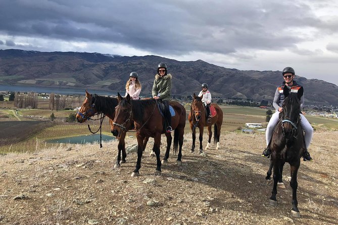 Golden Hills Horse Trek in Central Otago - From Cromwell orchards to the Top Hill views