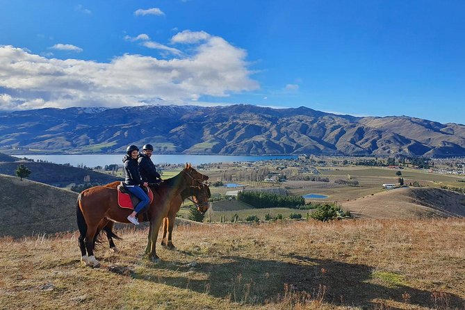 Golden Hills Horse Trek in Central Otago - A beginner-friendly ride with room for a little more