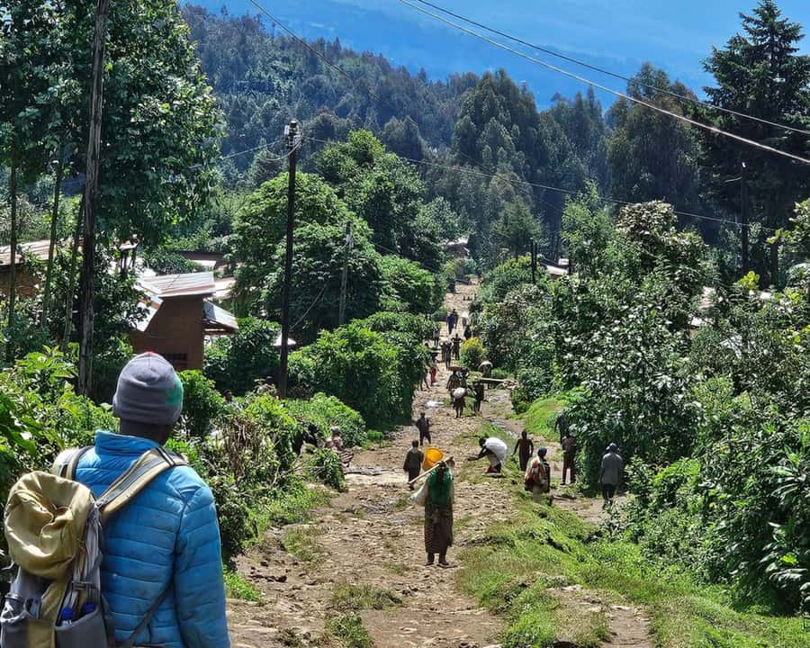 Golden Monkey Trekking with lunch - Key points to know before booking