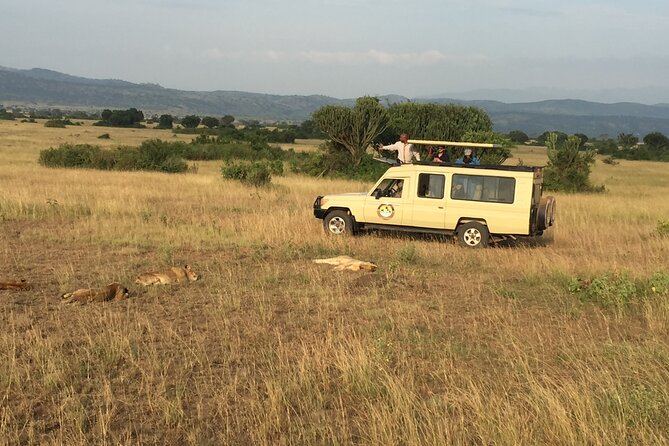 Gorilla & Chimpanzee Trekking in Uganda - 5 Days - Why this five-day Uganda safari works