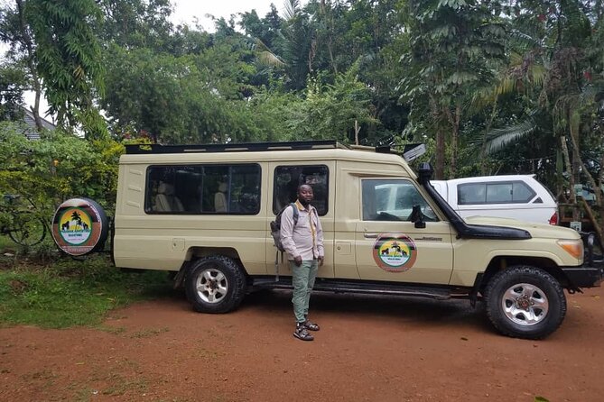 Gorilla & Chimpanzee Trekking in Uganda - 5 Days - Day 3: Ishasha’s tree-climbing lions and the road to Bwindi