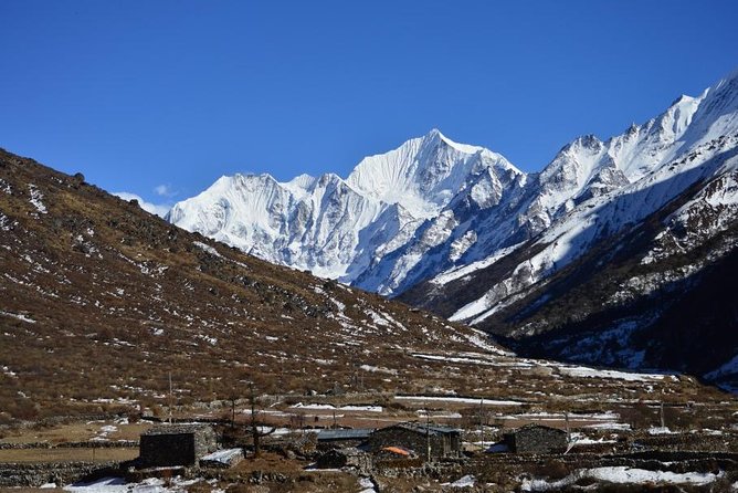 Gosainkunda Trek 12 Days - Forest trails from Syabrubesi to Lama Hotel