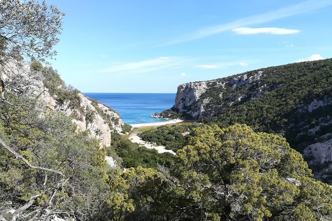 Guided hike to Cala Luna, the pearl of the Gulf of Orosei - Who should book this hike
