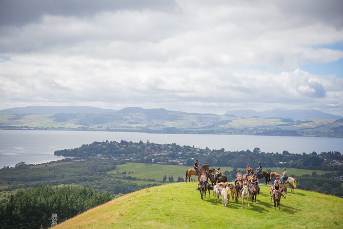 Guided Horse Trekking from Rotorua - From working farmland to native bush