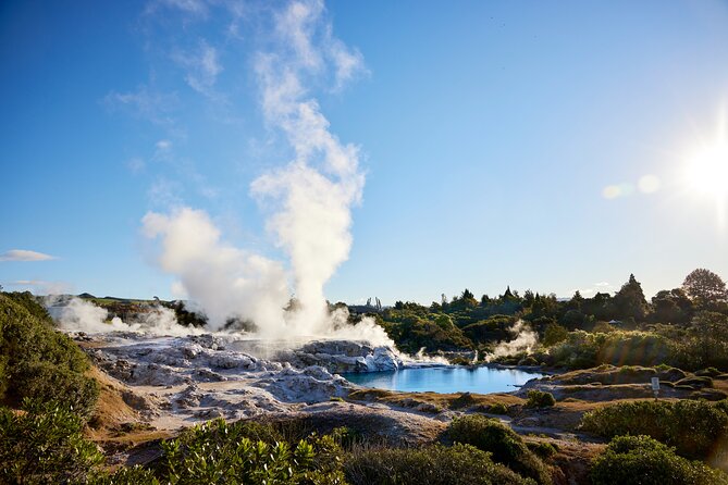 Guided Horse Trekking from Rotorua - A practical look at the one-hour itinerary
