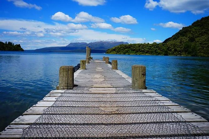 Guided Horse Trekking from Rotorua - Is $68.26 good value?