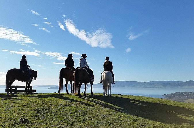 Guided Horse Trekking from Rotorua - Who should book this horse trek?