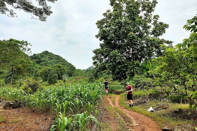 Ha Giang Loop Trekking Full Day Tour - Key points at a glance