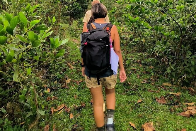 Ha Giang Loop Trekking Full Day Tour - What the small group changes