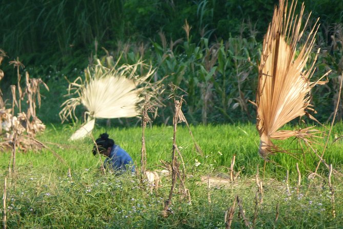 Ha Giang Trekker 2D2N - Walking into Ha Giang’s mountain villages