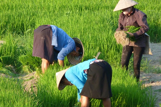 Ha Giang Trekker 2D2N - Fitness, weather, and sensible preparation
