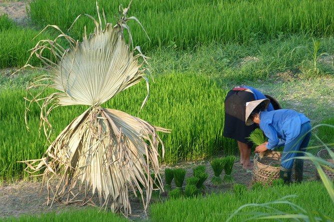 Ha Giang Trekker 2D2N - Who will enjoy this two-day trek