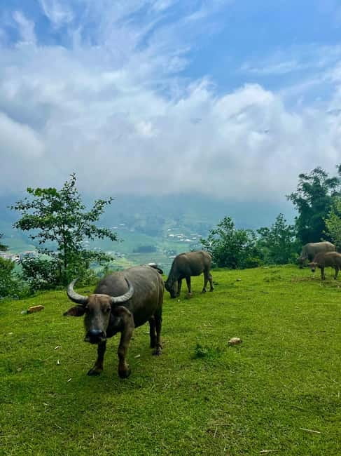Ha Noi-Sapa Authentic Trek & Homestay wih hmong women (2D1N) - What the $78 price covers