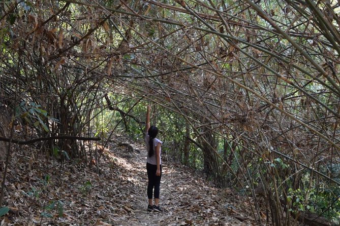 Half Day Doi Suthep Temple and short trekking on monk trail (Private Tour) - Reaching Wat Phra That Doi Suthep