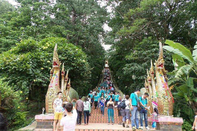 Half Day Doi Suthep Temple and short trekking on monk trail (Private Tour) - How the private format changes the morning
