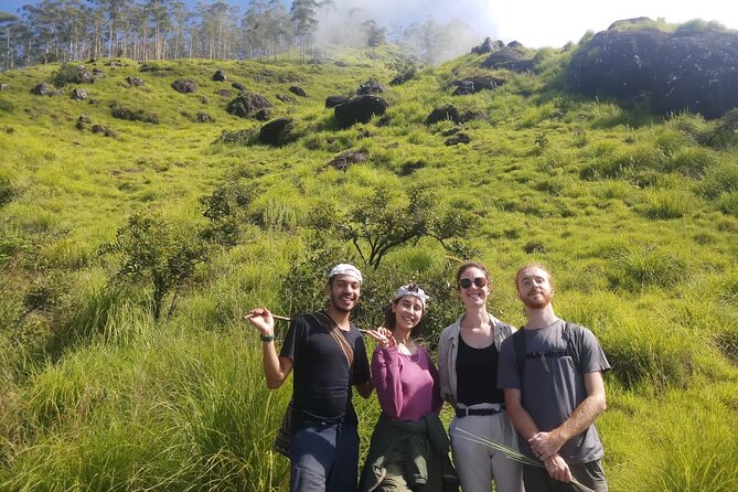 Half Day Hiking in Munnar Trekking Tour - What the guide adds to the walk