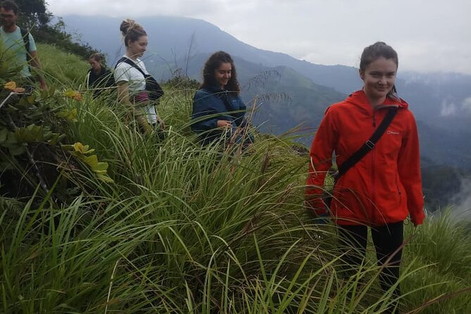 Half Day Hiking in Munnar Trekking Tour - Breakfast makes a practical difference