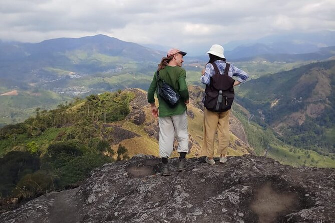 Half Day Hiking in Munnar Trekking Tour - Tea, forest, and local plant life
