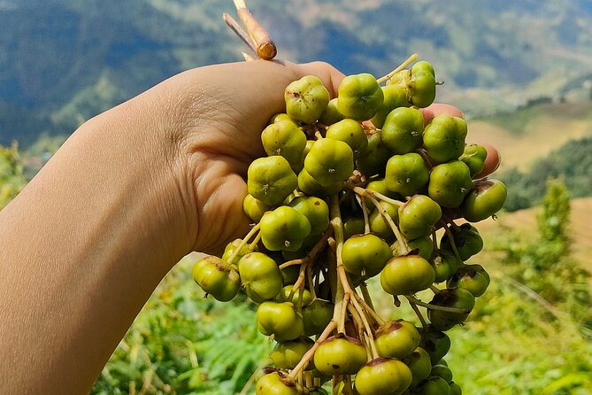 Half Day Private Trekking Mu Cang Chai_Morning or Afternoon - A local guide changes the experience