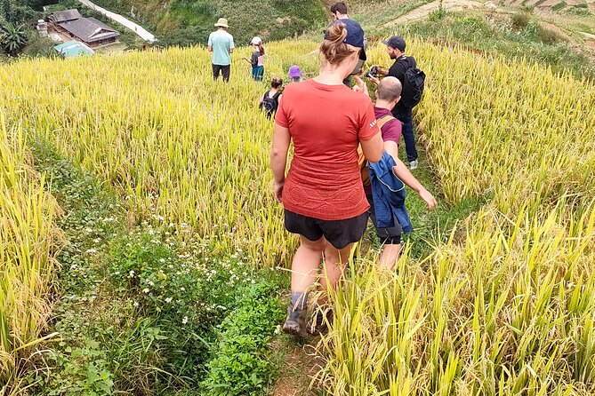 Half Day Private Trekking Mu Cang Chai_Morning or Afternoon - Who will enjoy this trek most