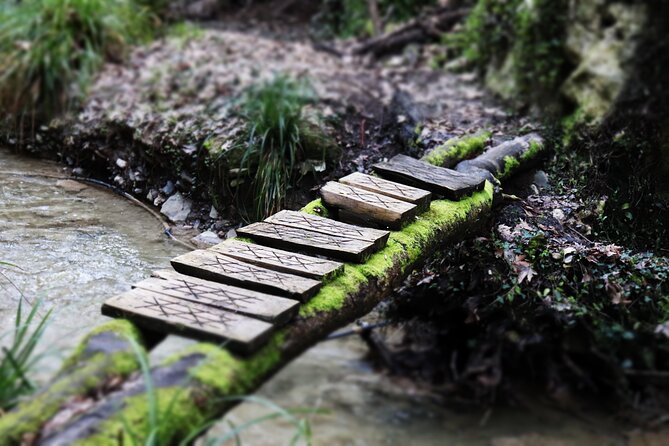 Half-Day River Trekking Stenosia from Kalamata - A river trek instead of a standard Kalamata day trip