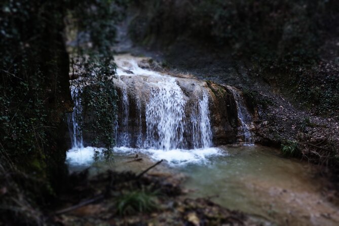 Half-Day River Trekking Stenosia from Kalamata - What the $90.31 price covers