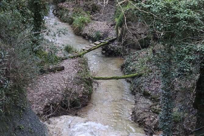 Half-Day River Trekking Stenosia from Kalamata - Who should book this outing