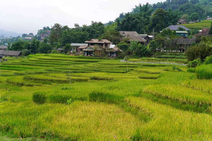 Half Day Sapa Trekking to Visit Lao Chai - Ta Van - Ta Van: the most relaxed village stop