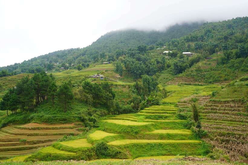 Half Day Sapa Trekking to Visit Lao Chai - Ta Van - How good is the $22 value?