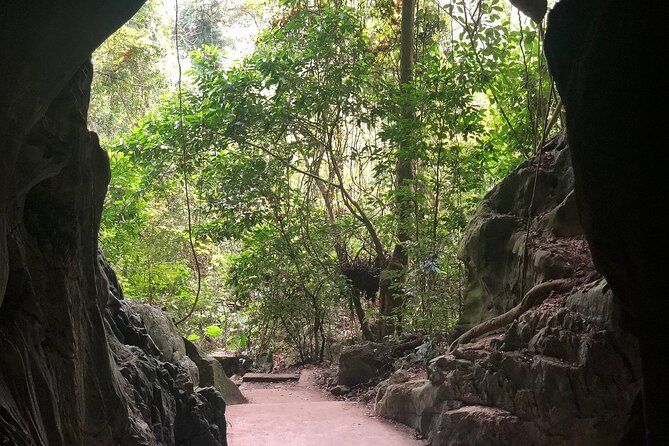 Half Day Trekking Cat Ba National Park - Ngu Lam Peak and the payoff above the trees