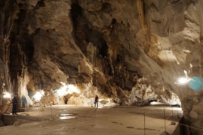 Half Day Trekking Cat Ba National Park - Is $40 good value for this route?