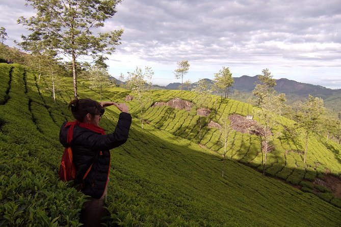 Half day trekking (munnar valley Trekking & Tours ) - The second section crosses five mountains
