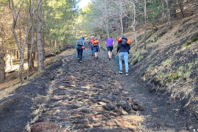 Half day Trekking Tour on Etna - A taste of Etna at Oro d’Etna
