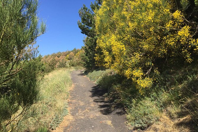Half day Trekking Tour on Etna - Who should book this Etna trek?
