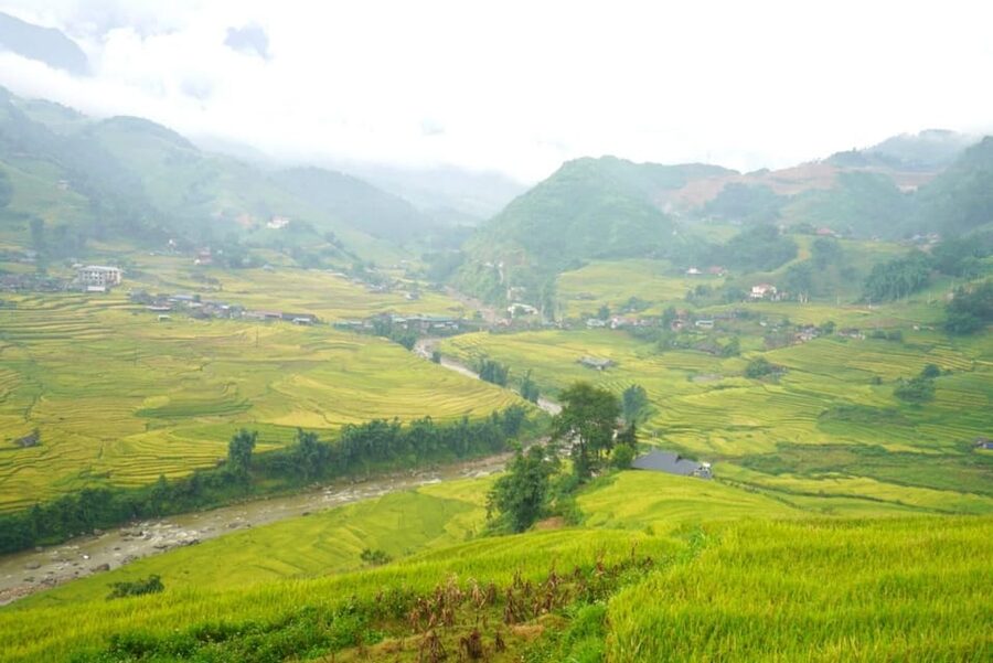 Half Day Visit Y Linh Ho,Lao Chai,Ta Van Trekking With Lunch - Key points before you book