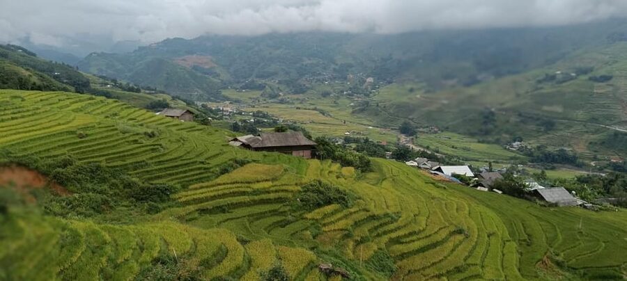 Half Day Visit Y Linh Ho,Lao Chai,Ta Van Trekking With Lunch - Booking details worth knowing