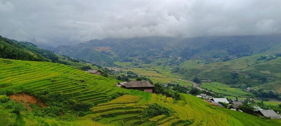 Half Day Visit Y Linh Ho,Lao Chai,Ta Van Trekking With Lunch - What this Sa Pa trek is really like