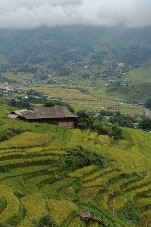 Half Day Visit Y Linh Ho,Lao Chai,Ta Van Trekking With Lunch - Walking beside the terraces to Lao Chai