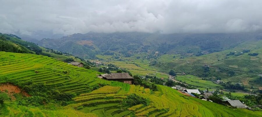 Half Day Visit Y Linh Ho,Lao Chai,Ta Van Trekking With Lunch - Who should choose this walk?