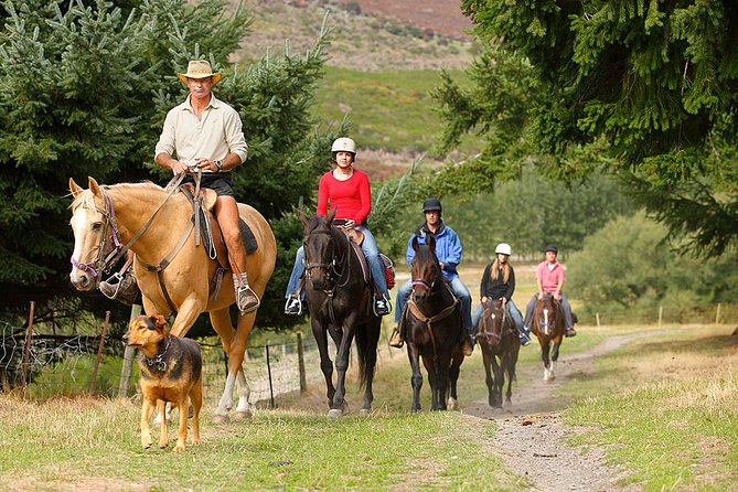 Half Day Walter Peak Horse Trek and Cruise from Queenstown - A gentle ride across the farm terraces