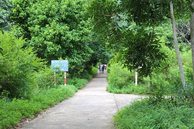 Halfday trekking Cat Ba Butterfly valley (more intense) - Why the guide can make or break the day