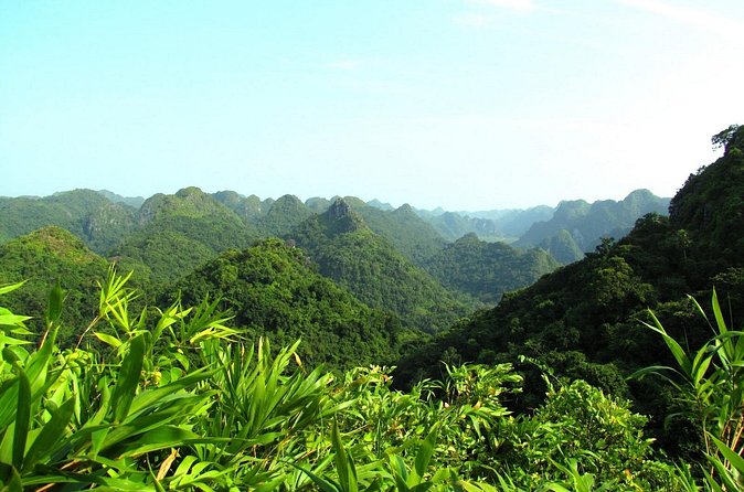 Halfday trekking Cat Ba Butterfly valley (more intense) - What $30 buys you on Cat Ba